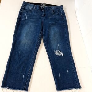 Democracy Ab Technology Raw Hem Straight Ankle Jeans